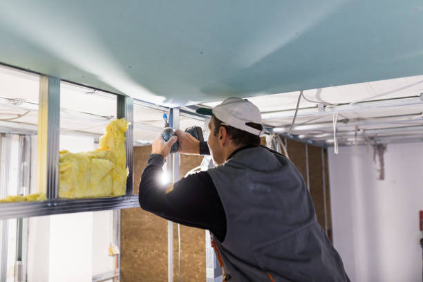 Best Insulation Materials and Products in Springdale, AR
