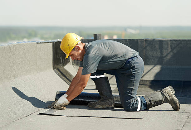 Best Insulation Installation Services in Springdale, AR